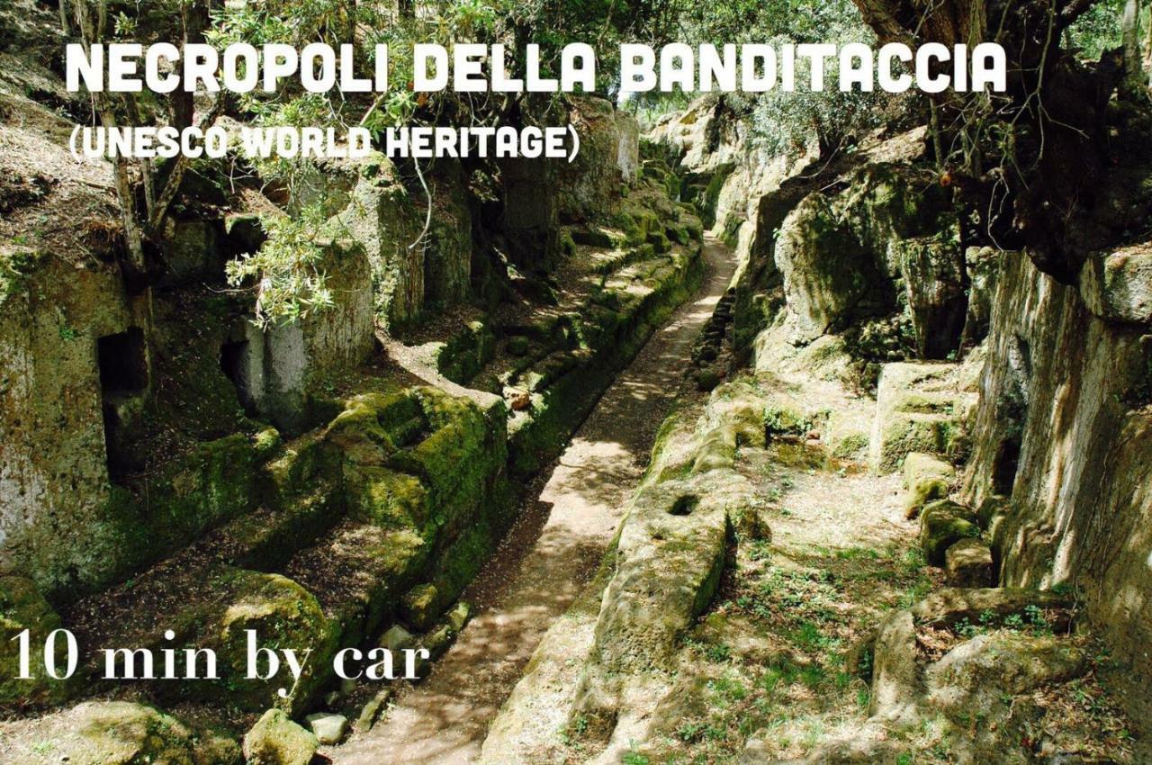 Domus Palombi Appartement Ladispoli Buitenkant foto